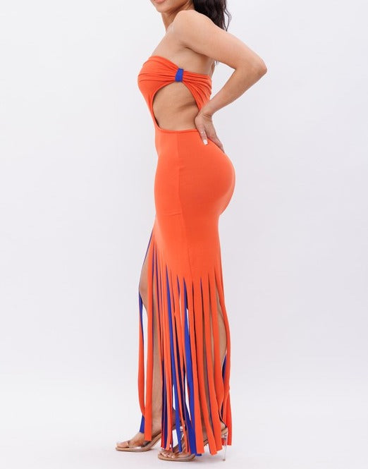 Dana Color Block Fringe Dress